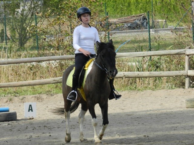 Babie Lato 2016